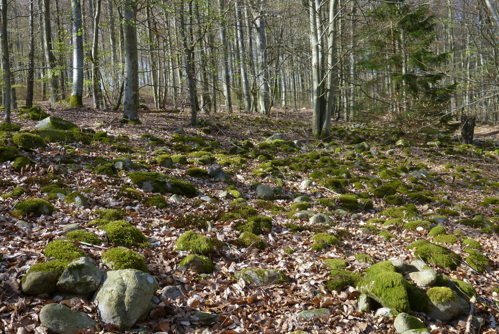         Skåneleden april 2015