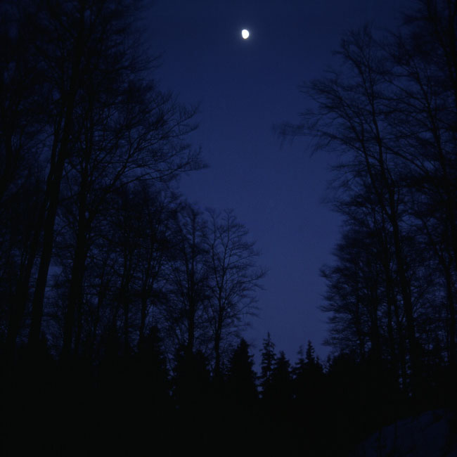 Söderåsen januar 1976