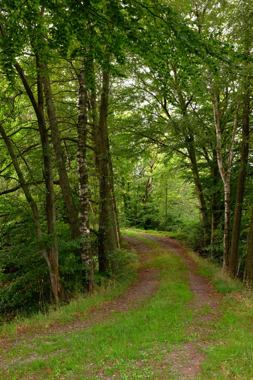 Söderåsen