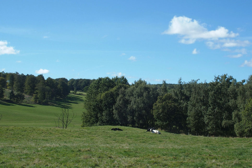 Söderåsen