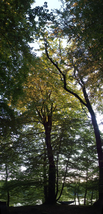 Söderåsen