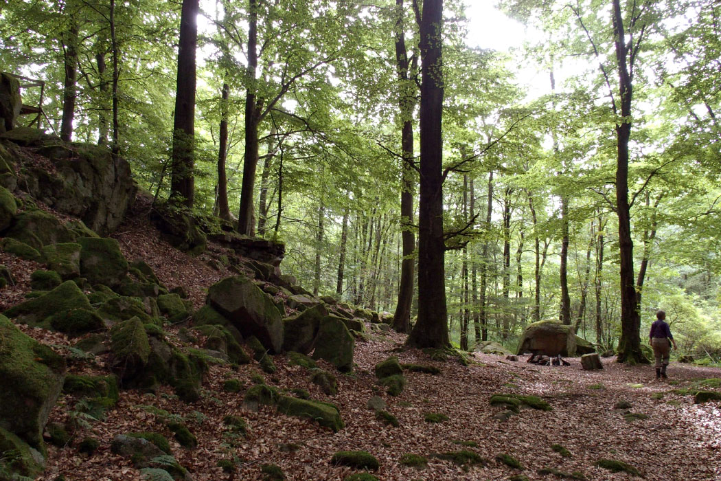 Söderåsen