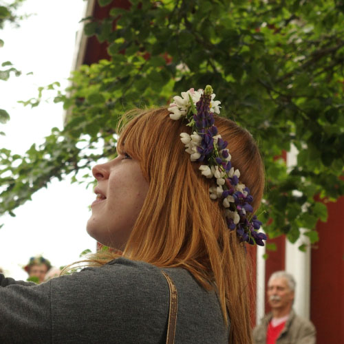Småland juni 2015