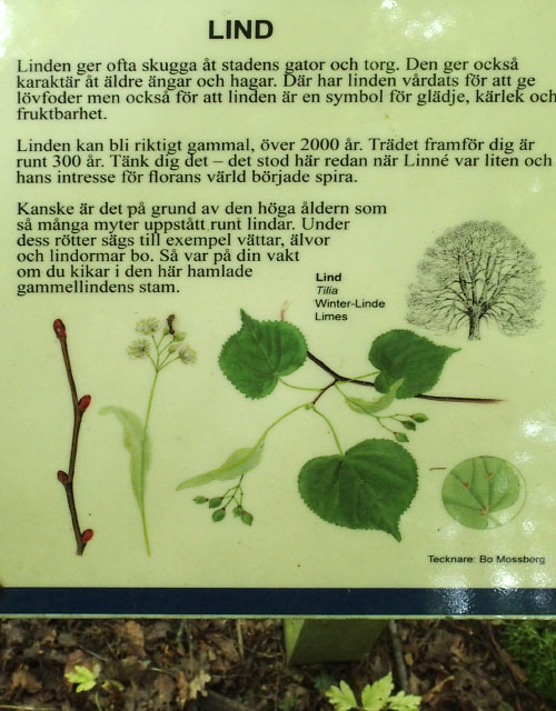 Småland juni 2015