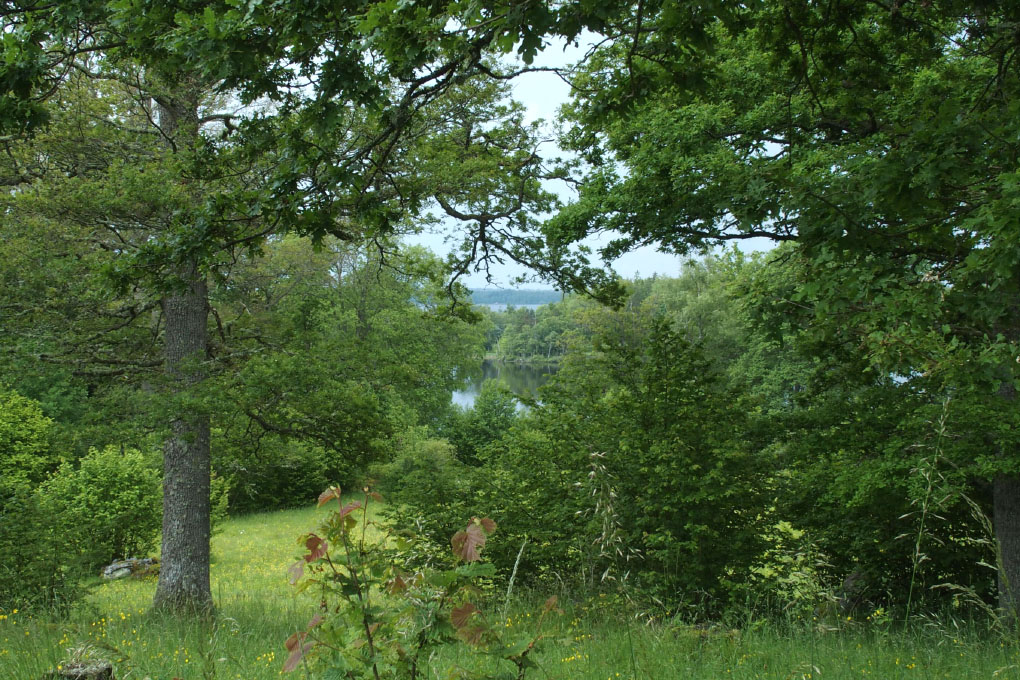 Småland juni 2015