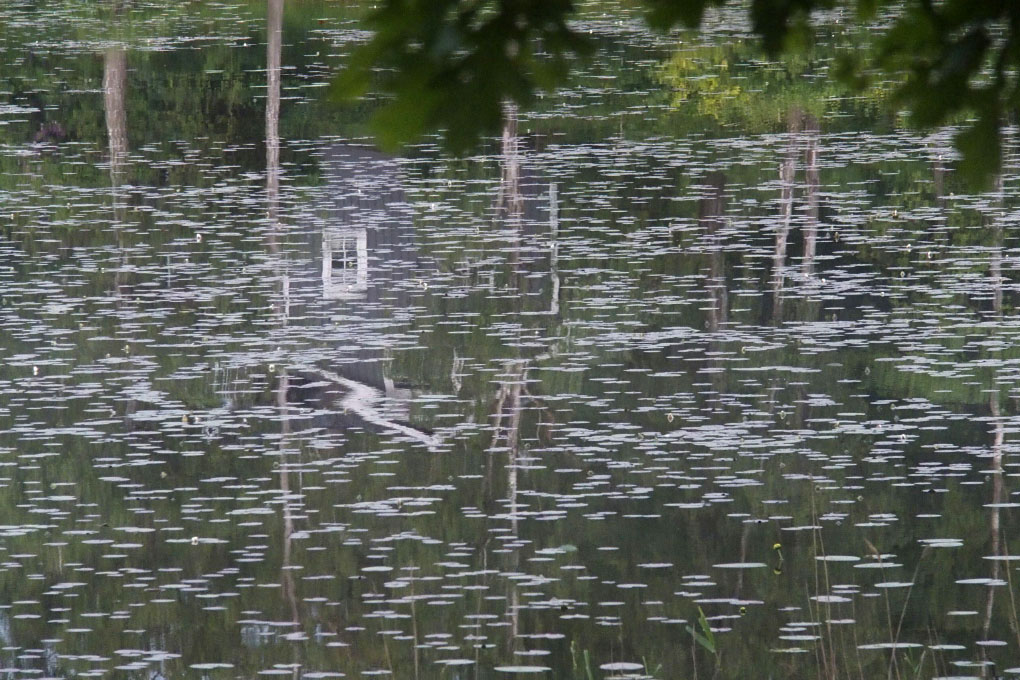 Småland juni 2015