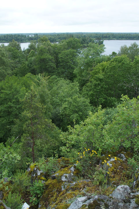 Småland juni 2015