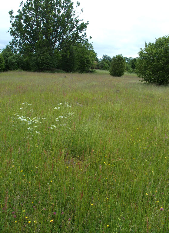 Småland juni 2015
